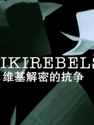 《长夜将明》剧集海报