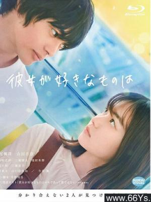 《风起澜沧》封面